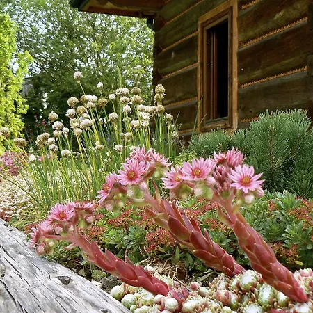 Les Datchas-lodges Lodge Labaroche